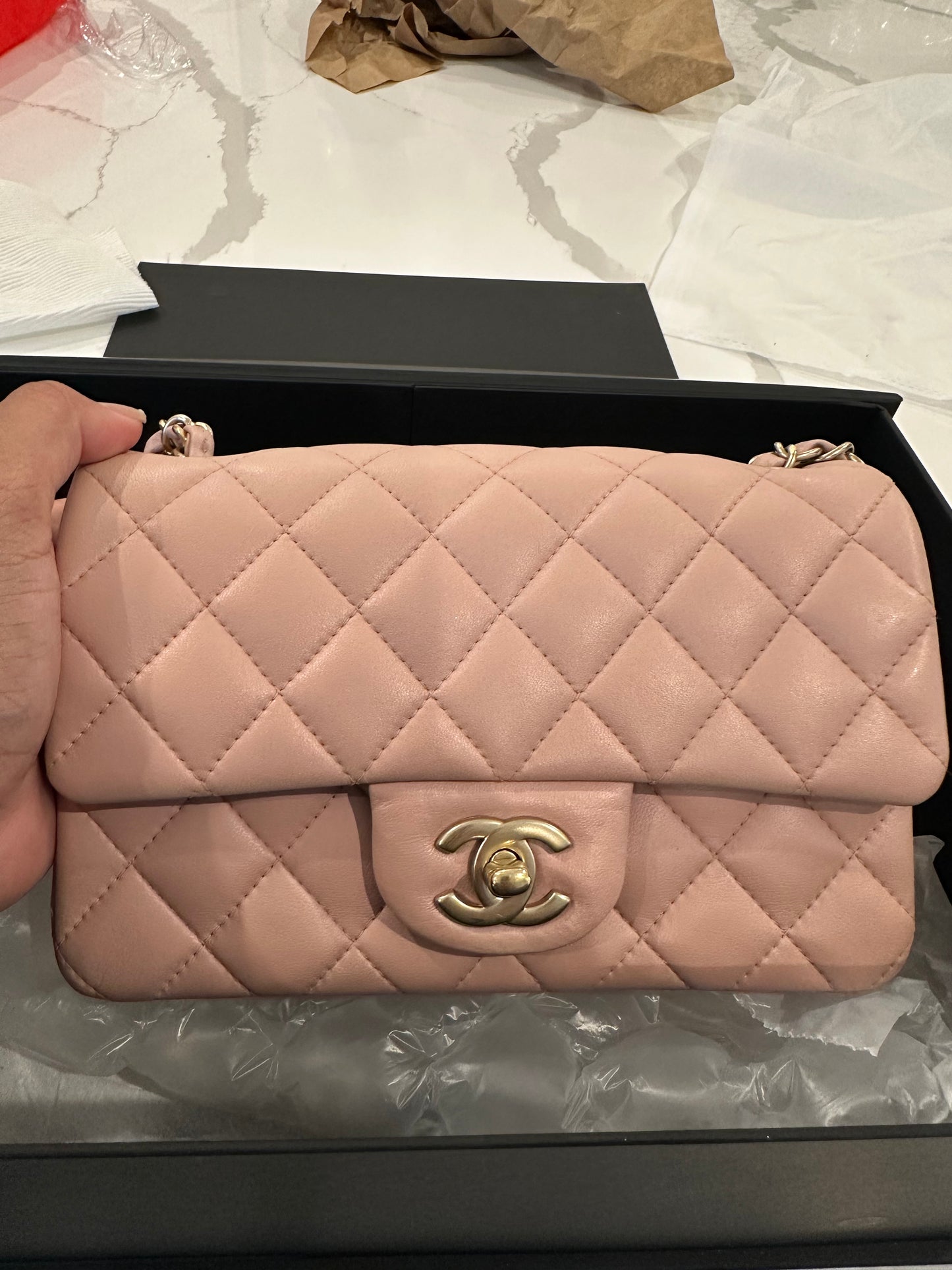 Chanel Pink Nude Mini